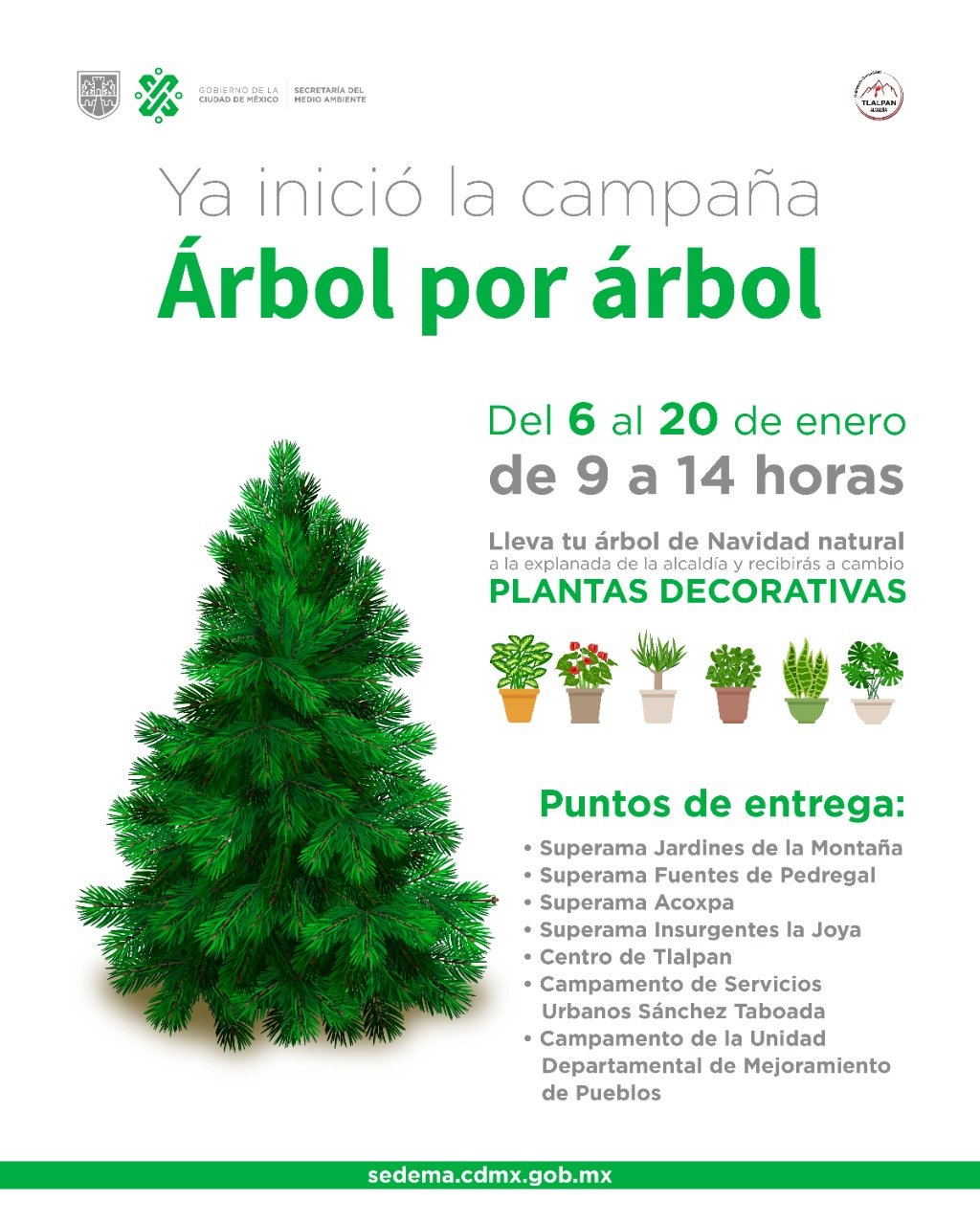 توییتر \ Alcaldía Tlalpan در توییتر: «¡Intercambia tu árbol de Navidad por plantas decorativas para tu hogar! 🎍 Ubica los puntos más cercanos a tu domicilio. 👇🏼 ❌ Sin series ❌ Sin توییتر \ Alcaldía Tlalpan در توییتر: «¡Intercambia tu árbol de Navidad por plantas decorativas para tu hogar! 🎍 Ubica los puntos más cercanos a tu domicilio. 👇🏼 ❌ Sin series ❌ Sin