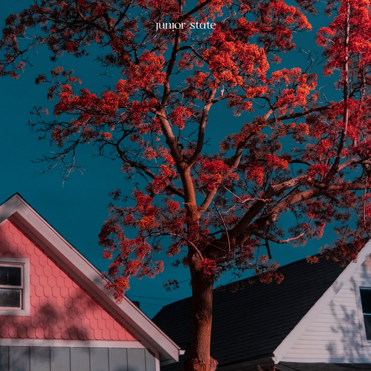 2nd Album

Have I Told You

Out Now.

fanlink.to/haveitoldyou