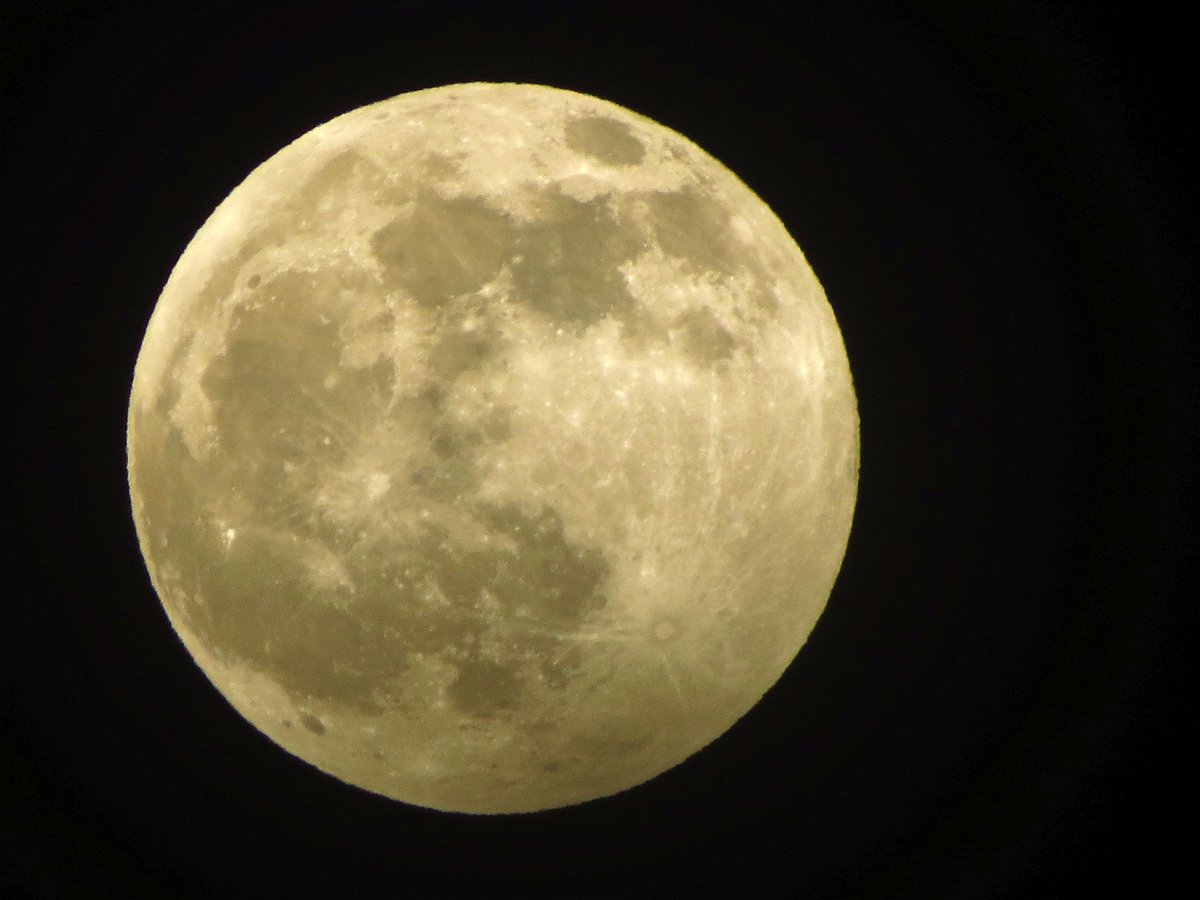 angegarrod's tweet photo. Finally a clear shot! 99.8% Full Moon 10/1/20 #PenumbralLunarEclipse #Woolfmoon #foxmoon #moonwatch #wonders #astronomy @VirtualAstro @BBCStargazing https://t.co/PYaUuTheNw