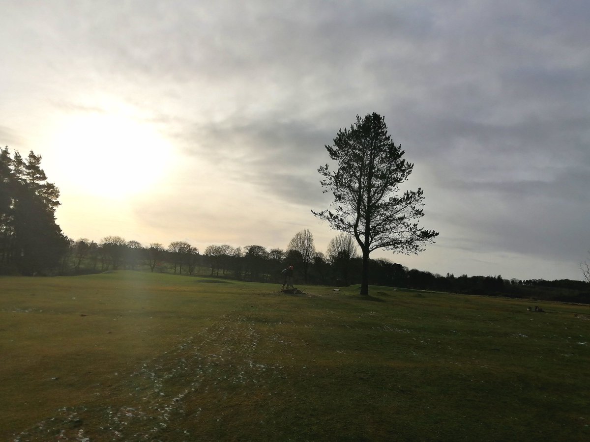stufergusonmg's tweet photo. Golf off the Menu @WestLintonGolf Quality Job today by the Lads at 13 Greenside.Shame to see this group go, however we must move forward. Quality Control popped in to sign off tree work! #SimsAbout #GolfEnvy #SnowandIce #NaturalRest https://t.co/zv8lII8lDU