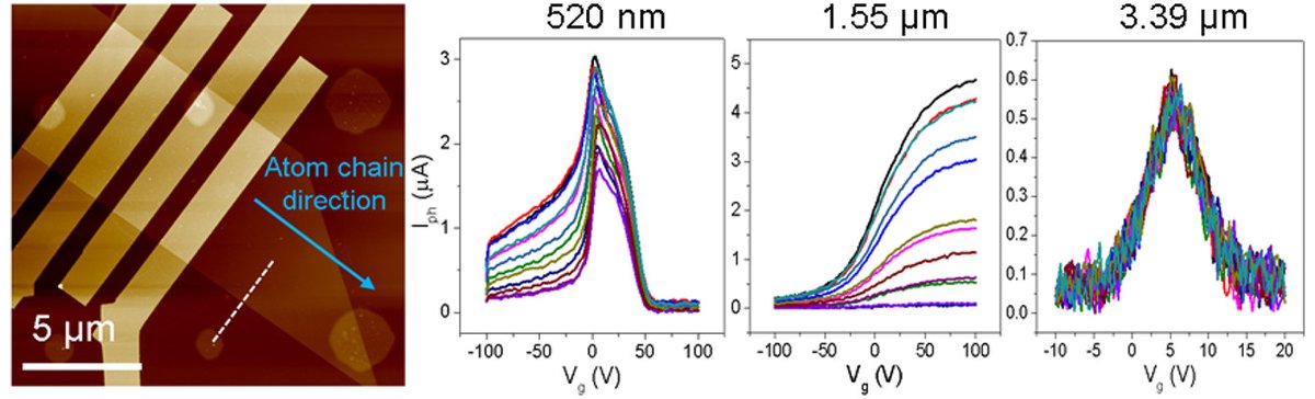 nanotrac's tweet photo. ACS Nano [ASAP] Tellurene Photodetector with High Gain and Wide Bandwidth: ACS NanoDOI: 10.1021/acsnano.9b04507 https://t.co/W77iP35F06 Via @acsnano #ACSNano #Nanoscience #Nanotechnology #SimulationOfNanostructures #NanoFabrication #Nanomaterials #NanoDevices https://t.co/qTBglCzsni