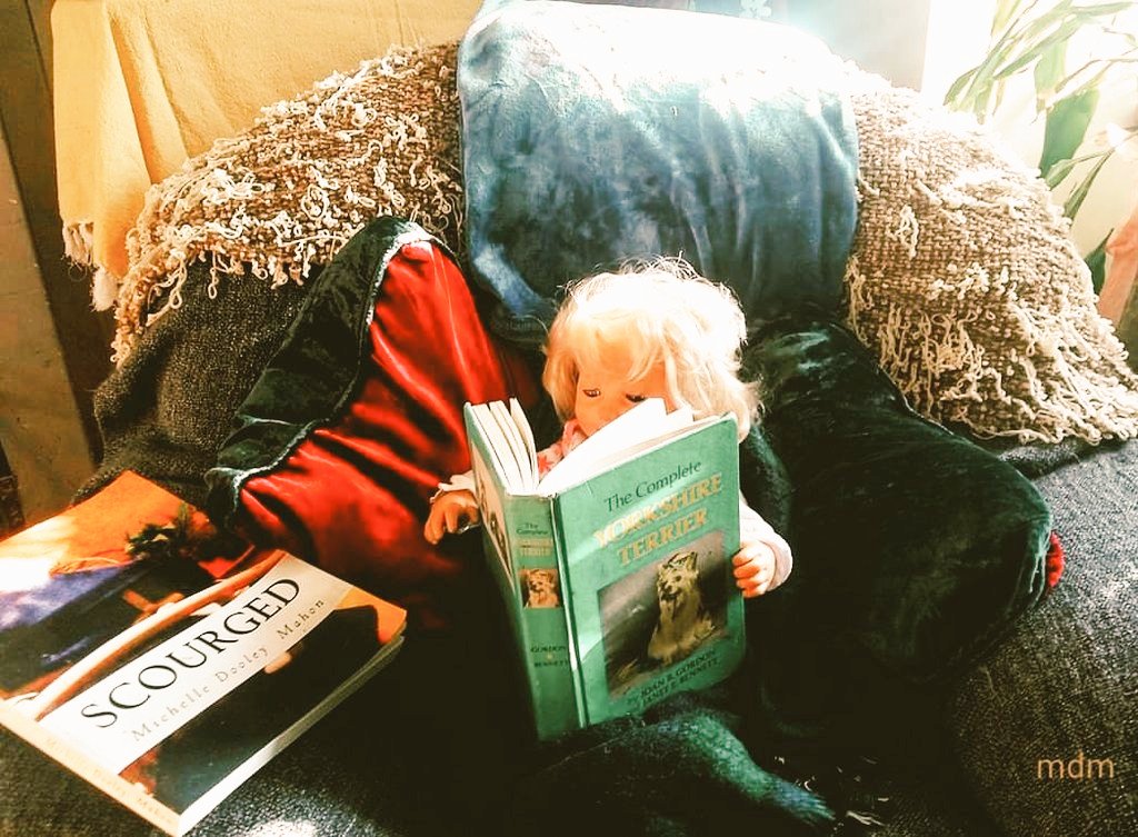 shellakeypookey's tweet photo. You gotta know when to stack em
Know when to pack em
Know how to walk away
Without #breakinglegs
You never count your money
When you're tipping in a deli
There'll be time enough for counting when you're drinking dregs
#TheScourge #NYC
@AerLingus My doll would love to turn left 🙏 https://t.co/YRzuHzj9Ky