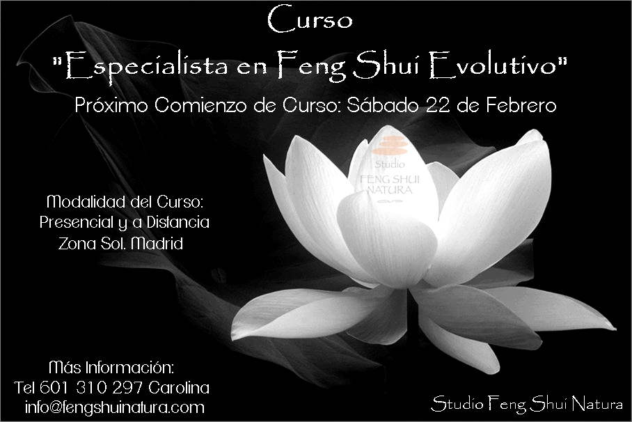 Nuevo Curso "Especialista en Feng Shui Evolutivo" - fengshuinatura.com/blog/?p=242
