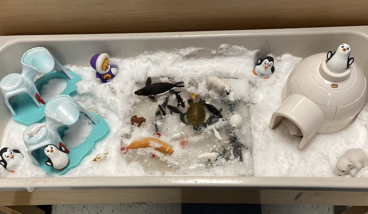 POPJKSKC's tweet photo. Arctic provocation ❄️@CA_Bohn https://t.co/QKkqXWfIdG