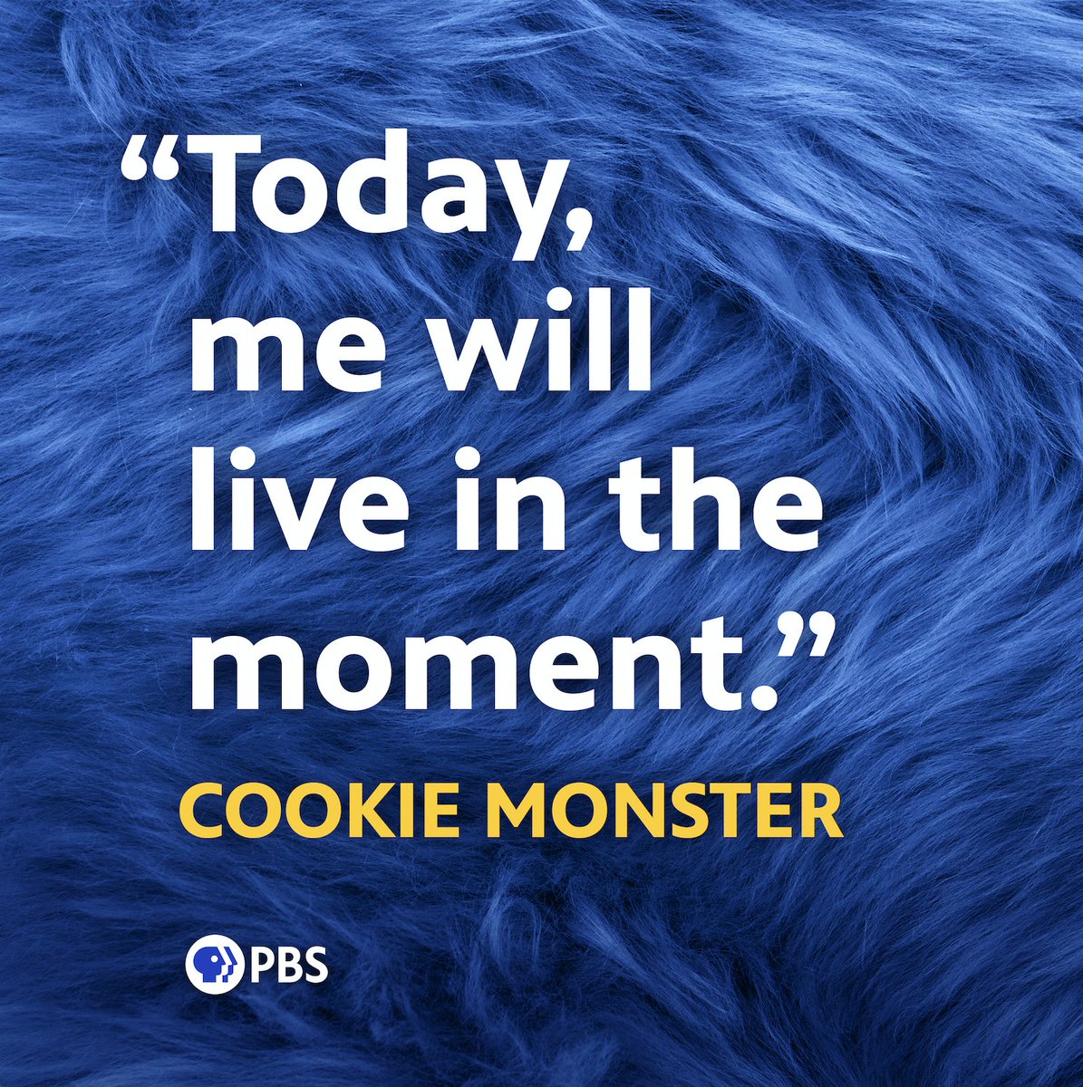 On <a href="/sesamestreet/">Sesame Street</a>,  <a href="/MeCookieMonster/">Cookie Monster</a> has shared kindness, curiosity and -- of course -- cookies with generations of children. What have you learned from Cookie Monster? #PBS50