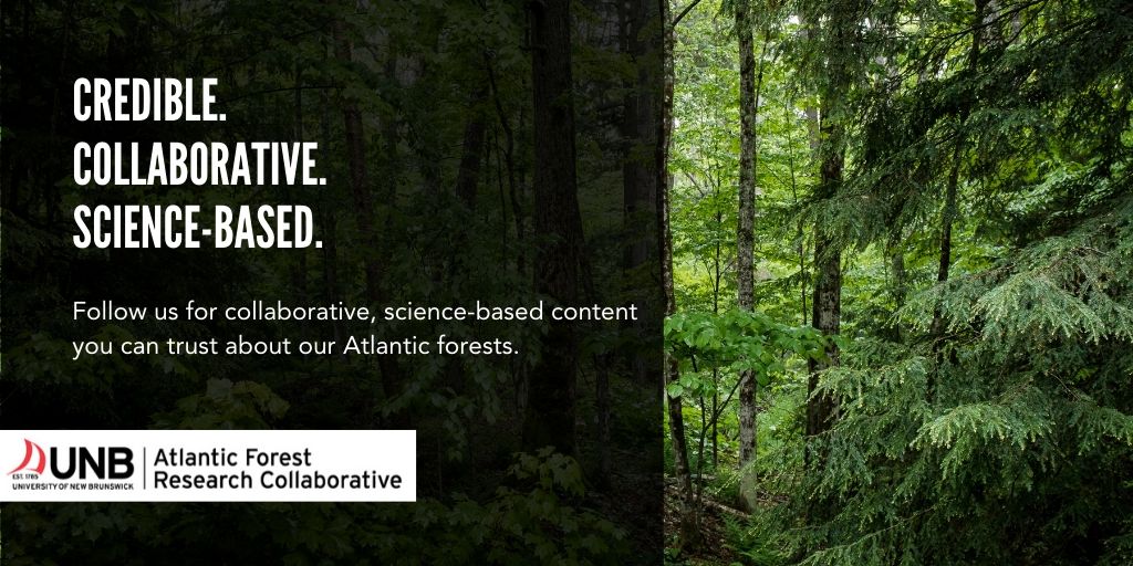 We're all looking for information we can trust. The Atlantic Forest Research Collaborative provides credible, collaborative science-based information about our forests: unb.ca/afrc #newbrunswick #novascotia #unb #research #nbforests #nsforests #forestry
