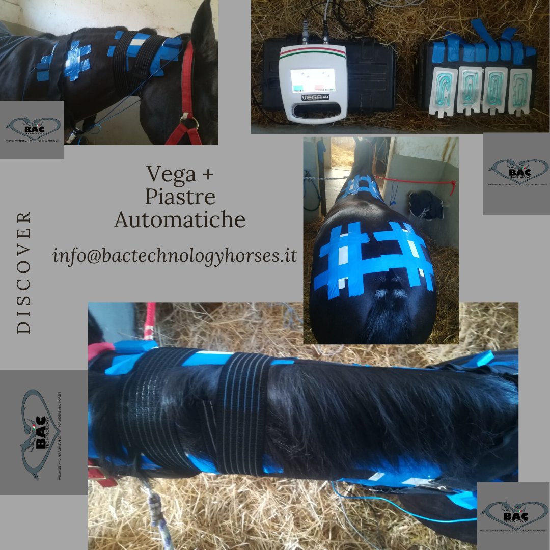 Bac Technology tweet media