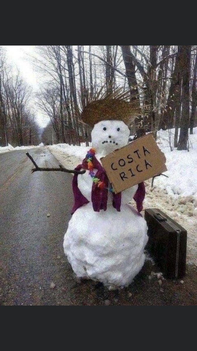 AmieFlesh's tweet photo. #CostaRica #puravida #wellness #wellnessvacation #acupuncture #snowman #snowballs #healing #health https://t.co/NYnocuATWb