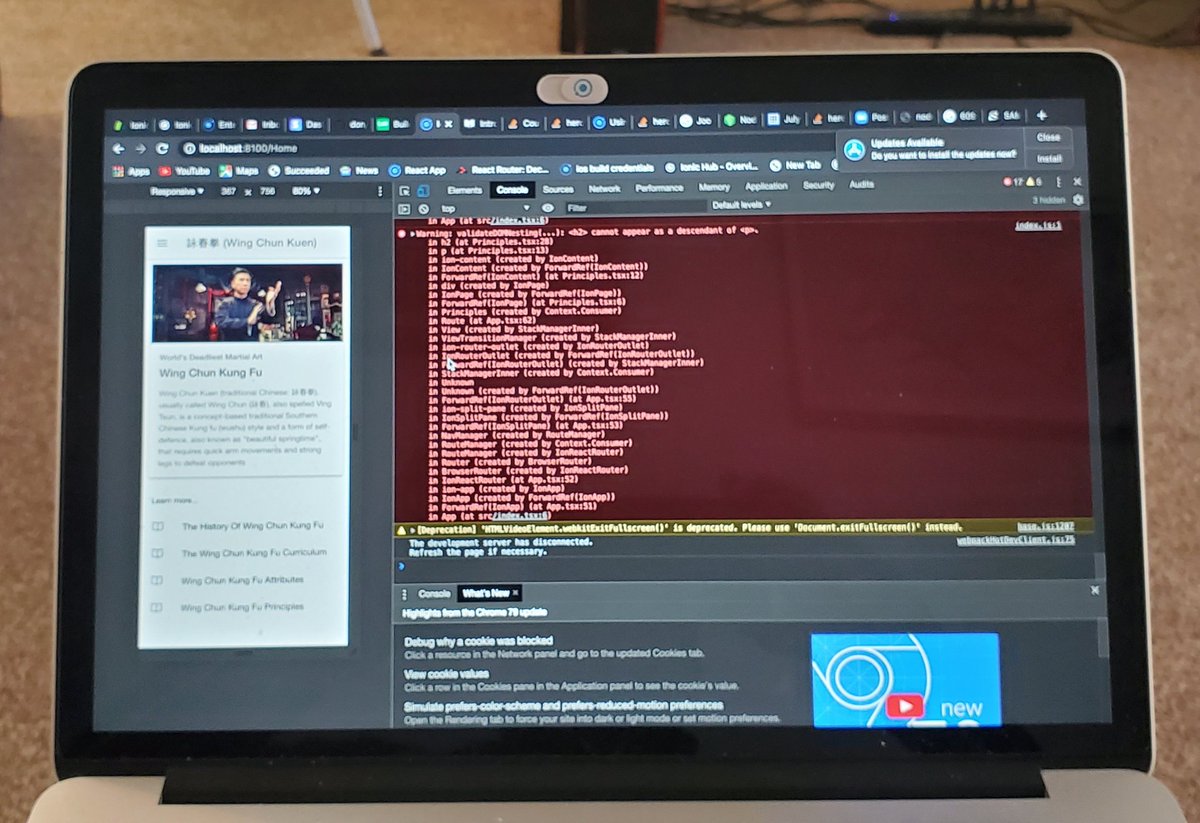 bkfwebdev's tweet image. Combining passions #VingTsun #WingChun #Ionic #React