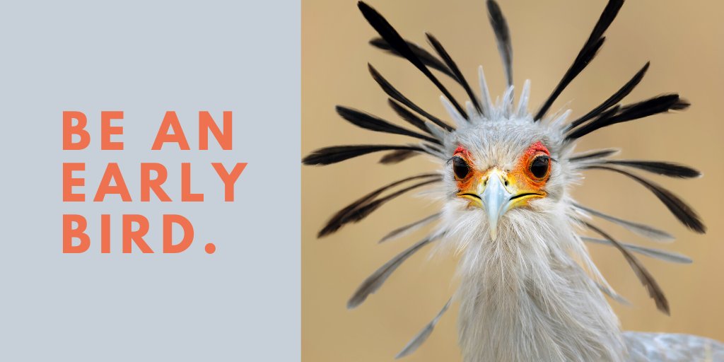 theatlis's tweet photo. Looking for ways to be productive on a Friday afternoon?
Save your school money by securing the lowest rates for the #ATLIS Annual Conference: https://t.co/mHLFsQ2FxN
RT and tag a friend
#atlisac #indyschools #isedchat #techleaders #edtech #edchat #ecatd #independentschools https://t.co/MxuMxLTIOq