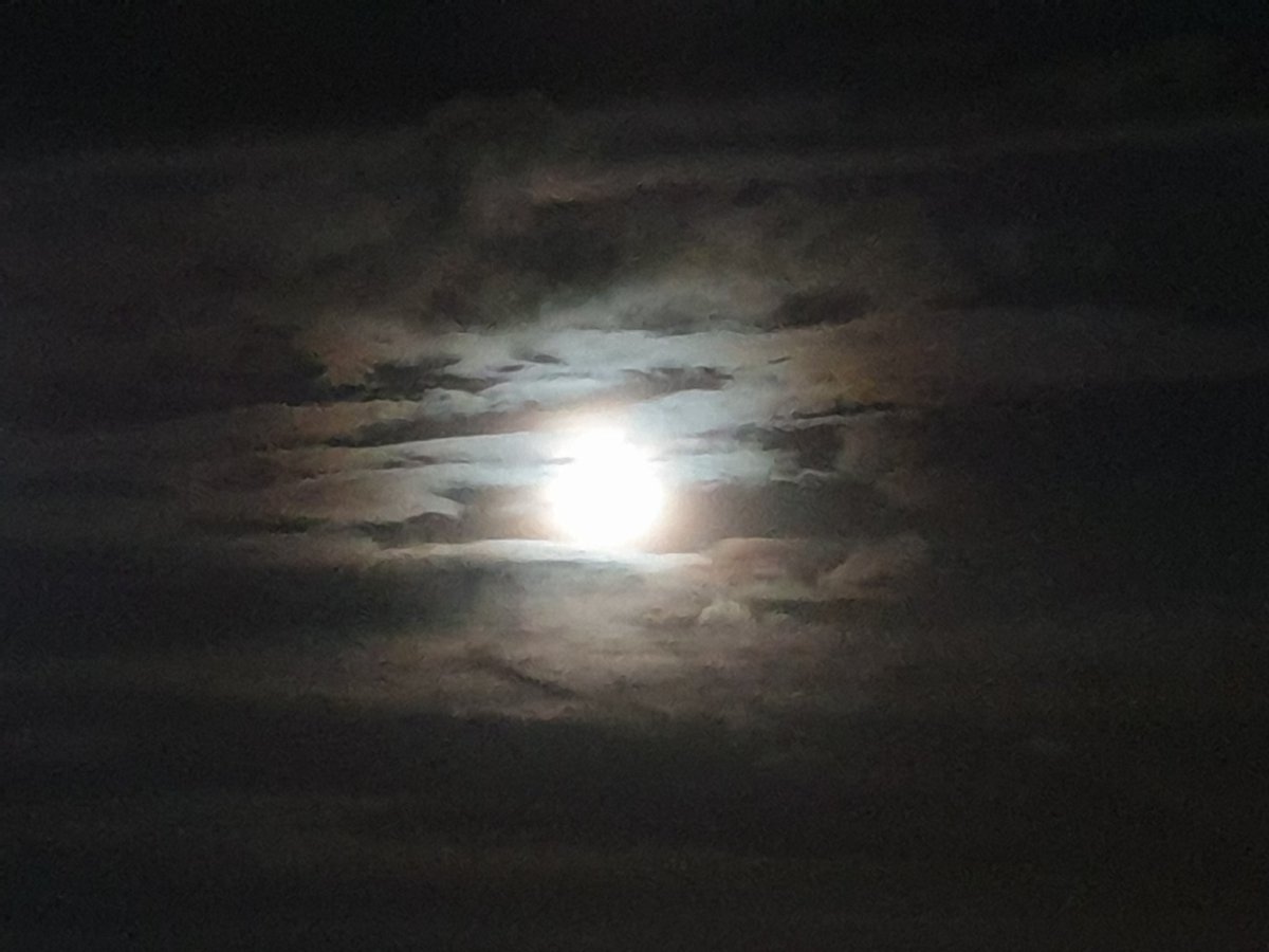 armoorehead1's tweet photo. First Full Moon of 2020 tonight.
#fullmoon #woolfmoon #woolton #Liverpool #lookuptothesky https://t.co/4Gd2qJqXB9