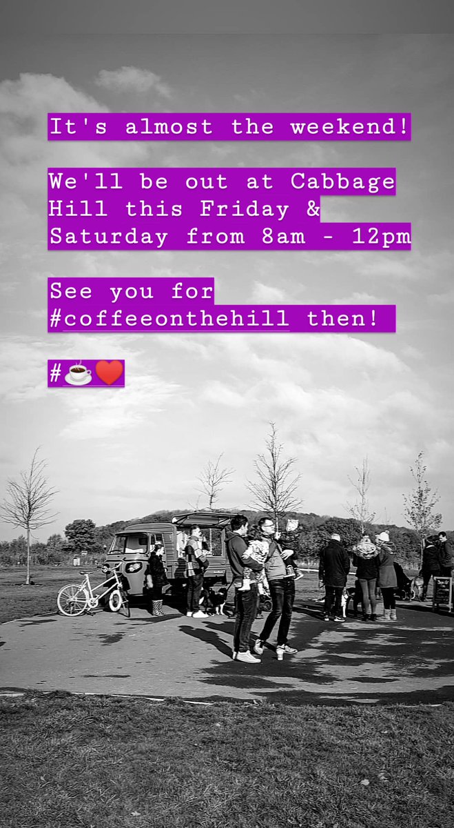 Bean and Fizz tweet media