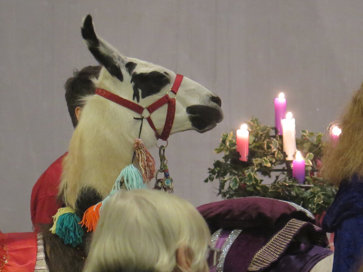 All Saints Clifton tweet media