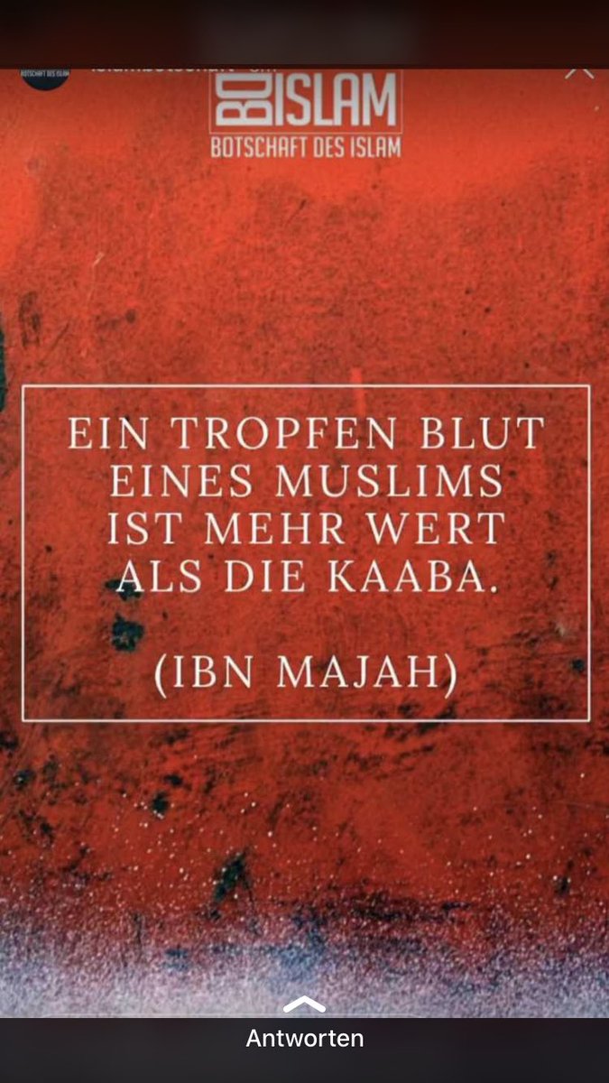 saimarlud15's tweet photo. Wie viel Blut fließt täglich von unseren muslimischen Geschwistern??? #DemoHamburg #DemoHamburg #DemoHamburg #DemoHamburg #FreeUyghur #FreeUyghur #FreeUyghur #FreeUyghur #MadeInChina #MadeInChina #MadeInChina #MadeInChina https://t.co/brOYeE9jDJ