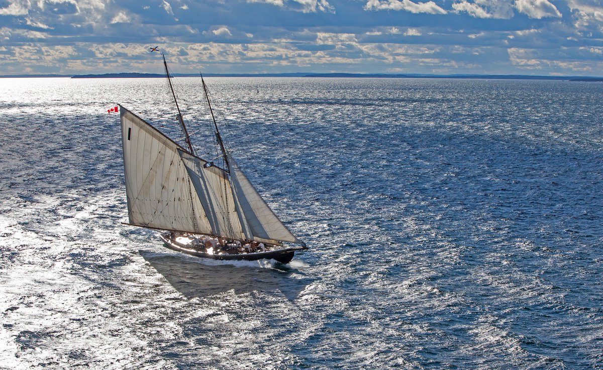 Our 2020 schedule is LIVE! You can now book a Harbour Sail or Deckhand for a Day experience:
bluenose.novascotia.ca/schedule
📷:<a href="/Len_Wagg_photo/">len wagg</a> 
#BluenoseII #NovaScotia #VisitNovaScotia #Lunenburg #NS @TownLunenburgNS <a href="/Lunenburg_NS/">Board of Trade</a> <a href="/novascotia/">Nova Scotia</a> <a href="/VisitNovaScotia/">Visit Nova Scotia</a> <a href="/TourismNS/">Tourism Nova Scotia</a> #discovercanada