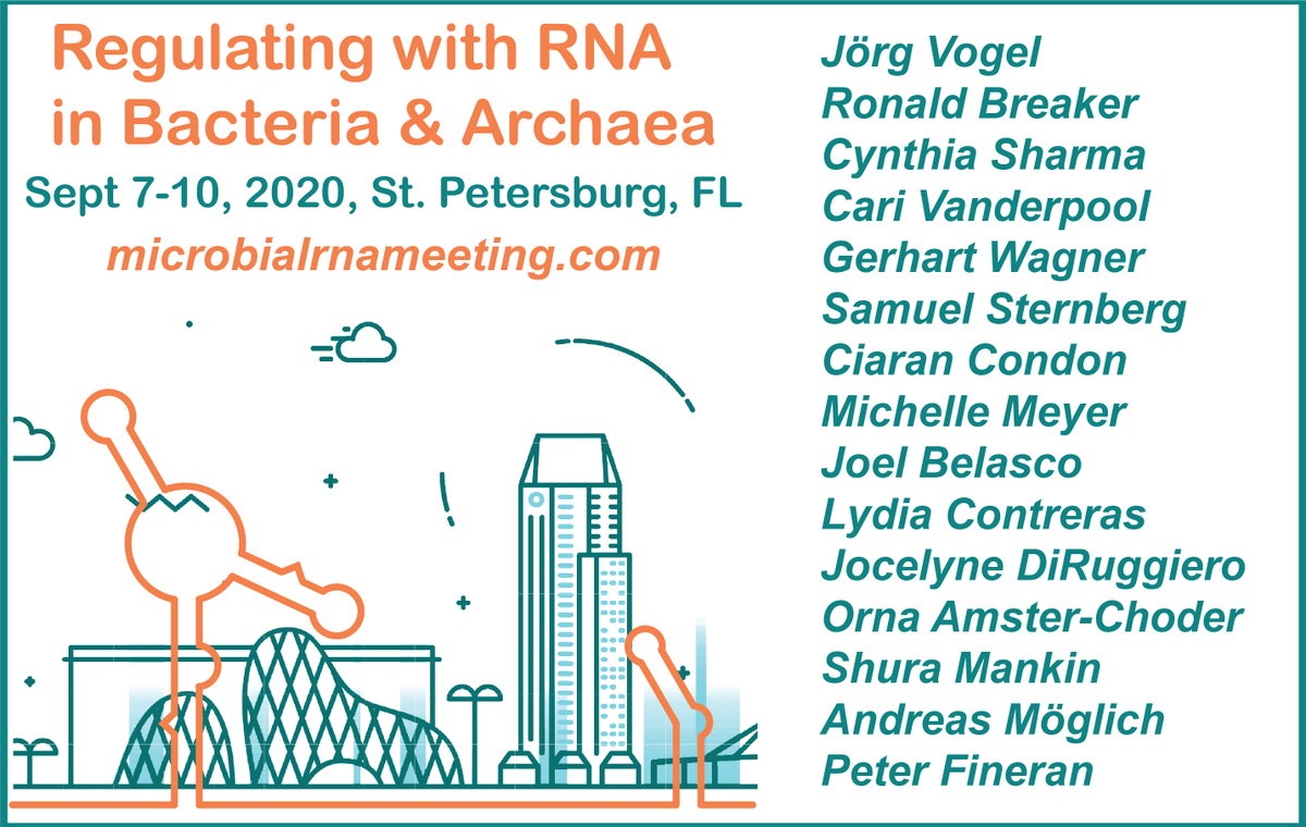 Wade Winkler (@runtumblerun) on Twitter photo The 6th Regulating with RNA in Bacteria and Archaea Meeting is in St. Petersburg, FL, Sept. 7-10, 2020 at the Hilton Bayfront. Co-sponsored by <a href="/RNASociety/">The RNA Society</a>, it will convene microbiologists (<a href="/ASMicrobiology/">ASM</a> <a href="/FEMSmicro/">FEMS</a> <a href="/MicrobioSoc/">Microbiology Society</a>) studying #RNAs. More at microbialrnameeting.com! The 6th Regulating with RNA in Bacteria and Archaea Meeting is in St. Petersburg, FL, Sept. 7-10, 2020 at the Hilton Bayfront. Co-sponsored by <a href="/RNASociety/">The RNA Society</a>, it will convene microbiologists (<a href="/ASMicrobiology/">ASM</a> <a href="/FEMSmicro/">FEMS</a> <a href="/MicrobioSoc/">Microbiology Society</a>) studying #RNAs. More at microbialrnameeting.com!