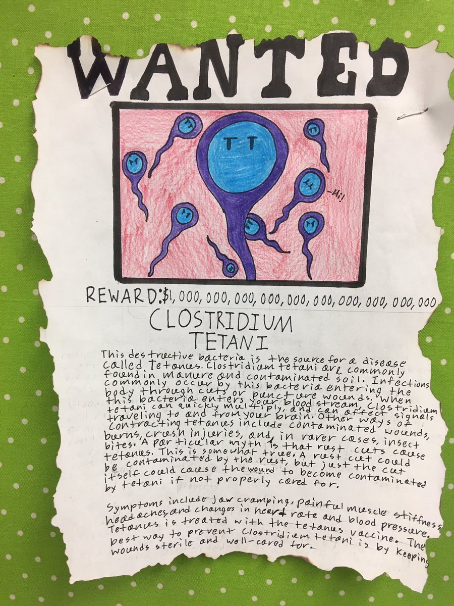 TFantell's tweet photo. SCMS Neptune scientists created “Most Wanted” posters for these sneaky prokaryotes! They researched one of their choice and created a informative description to catch the culprits! @SCM_Principal #CBGacademies https://t.co/P5mgzc9JTL