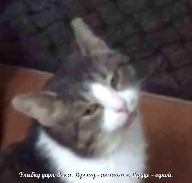 догадайтесь кому😎