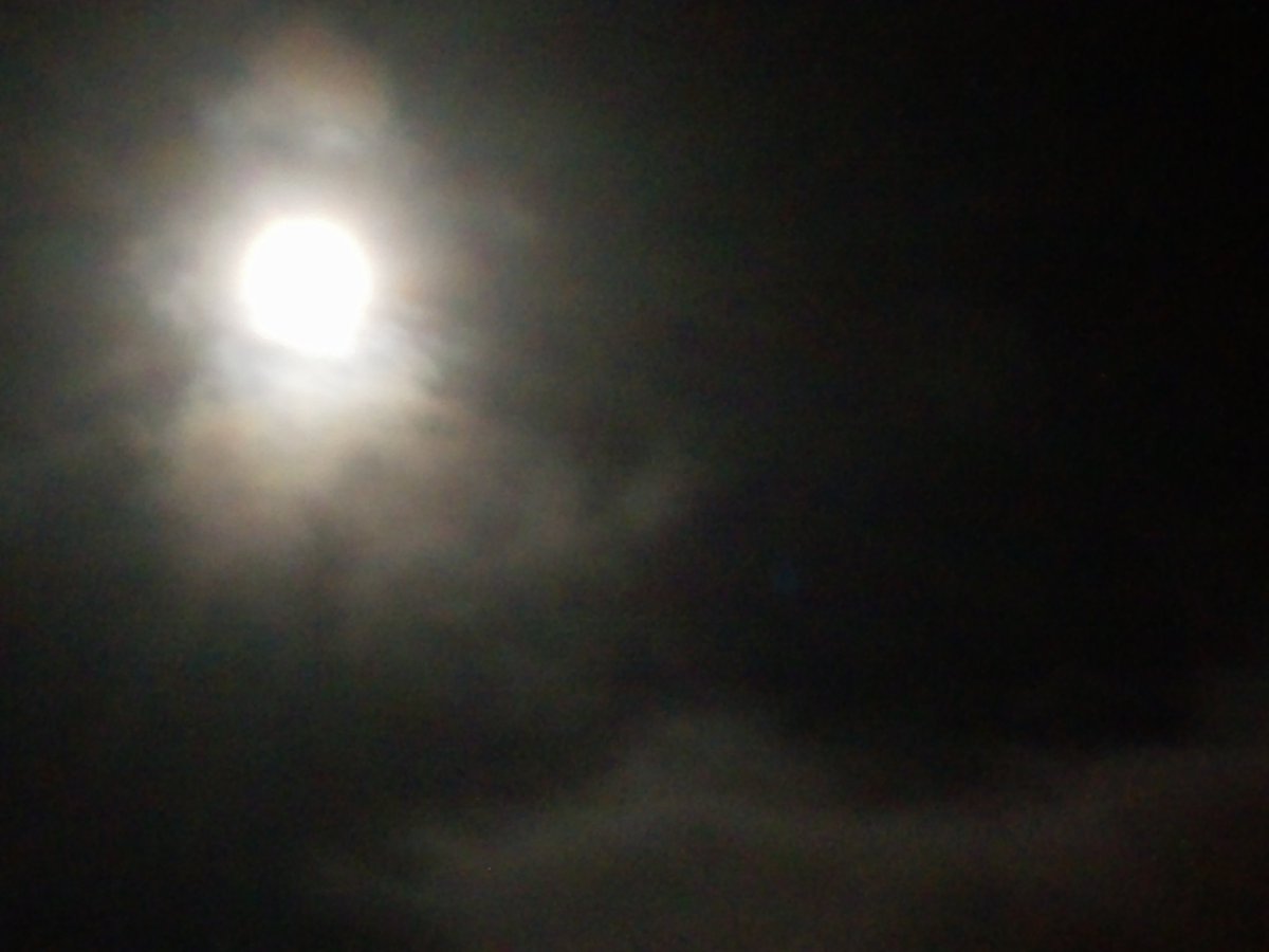 kristallnaach's tweet photo. ...#Vollmond gefunden...

um 20.11 Uhr war das Maximum der #Halbschatten-#Finsternis erreicht, der #Mond war zu 92 Prozent bedeckt...aa-ha https://t.co/dM6d4trMp1