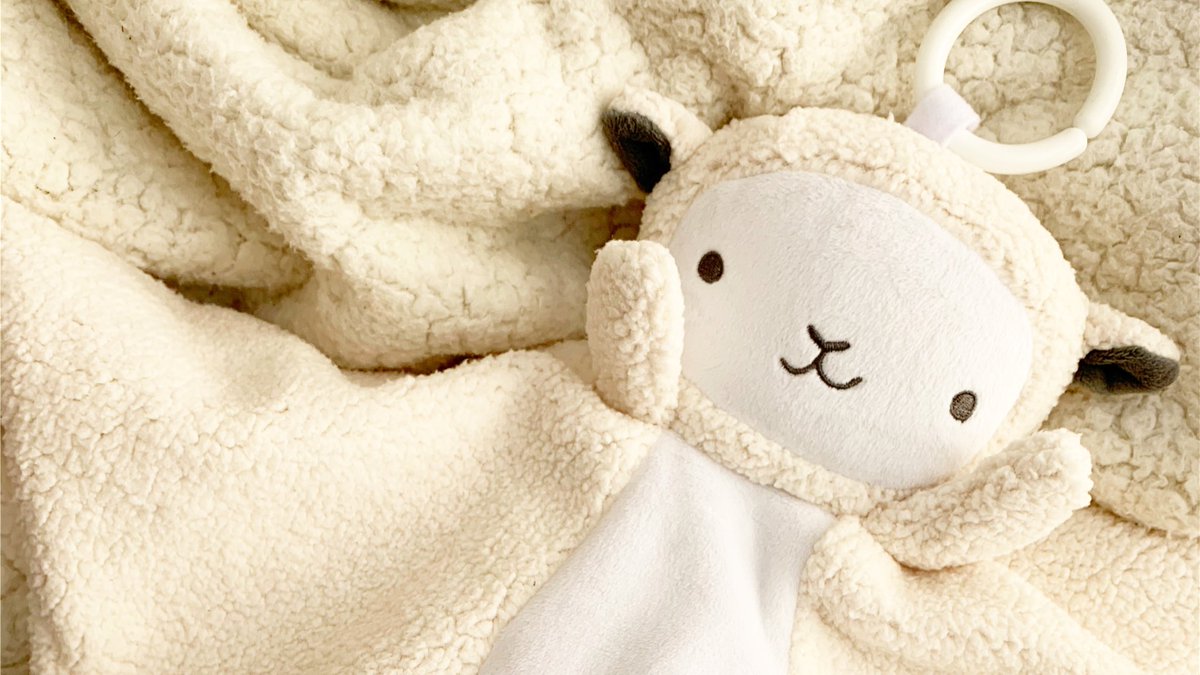 WavHello's tweet image. Who’s got fun weekend plans? This sweet little lamb does, music and cuddles 🥰