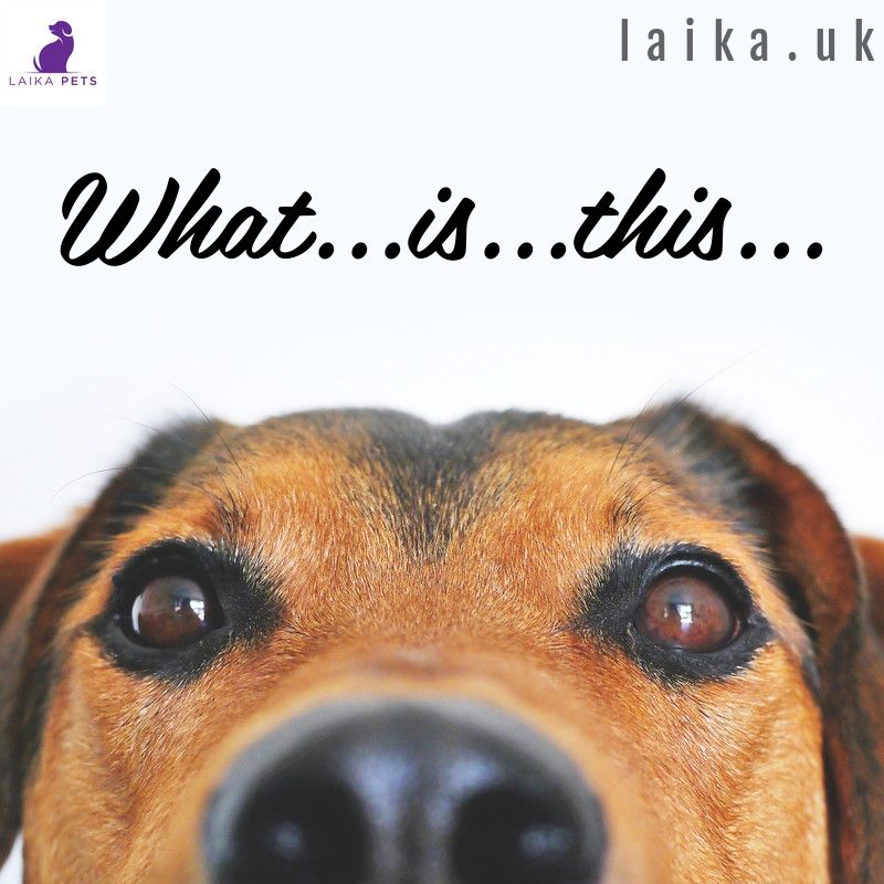 PetsLaika's tweet photo. Medium and Large LED Dog Collars on sale at https://t.co/aXPzVqOOFt. Be Safe, Be Seen.
👍
😍
🐶
#largedogsuk
#dogsofinstagram
#dogsareawesome
#ukdogsofinstagram
#ukdogastram
#doggiftsuk
#ukdogcollars
#laikapetsuk https://t.co/4Ghwy9ftIc