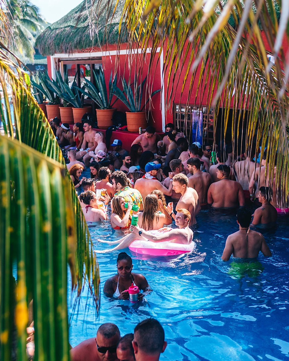 CampusVacations's tweet photo. A little slice of paradise. 🤩 https://t.co/ktlz5cyve4