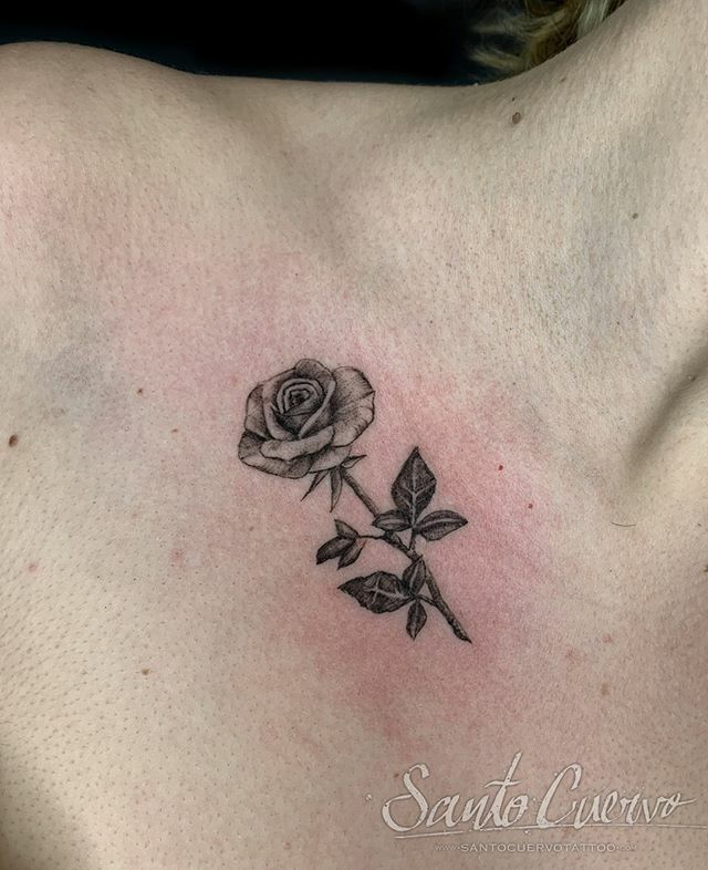 santocuervotatt's tweet photo. By @marva.tattoos
-
Sponsored by:
@hellotattoomed
#finelinetattoo #blackworktattoo #finelinerose #rosetattoo #tattoo #tattedup #tattooart #tattoostudio #tattoolovers #ink #inklife #inked #tattooartist #londontattooartist #tattooing #tattoolife #tattoolondon #vega… https://t.co/hskBz8s4iv