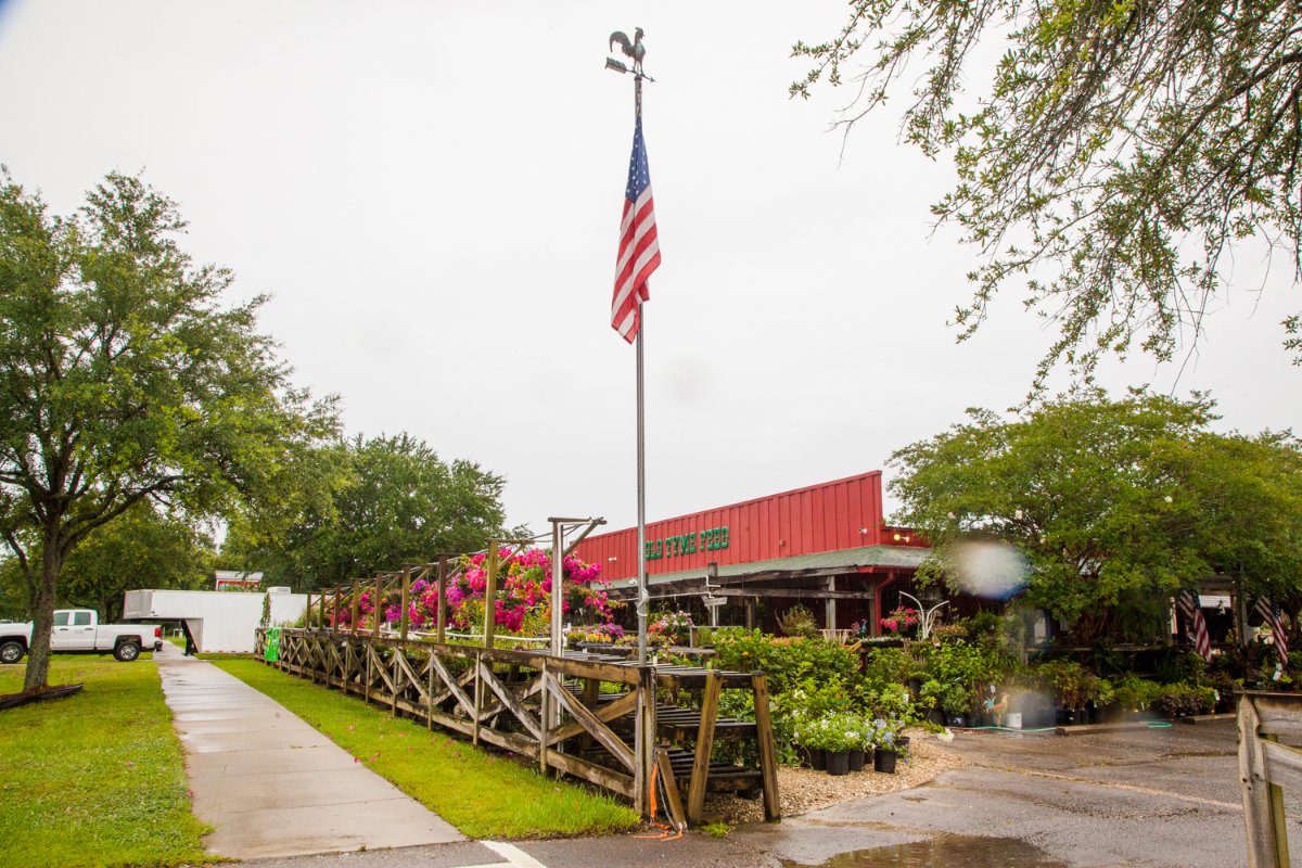 oldtymefeed's tweet photo. Whether you need products for your home, garden, or ranch, we're the place you need to be! https://t.co/zL56kbPftI