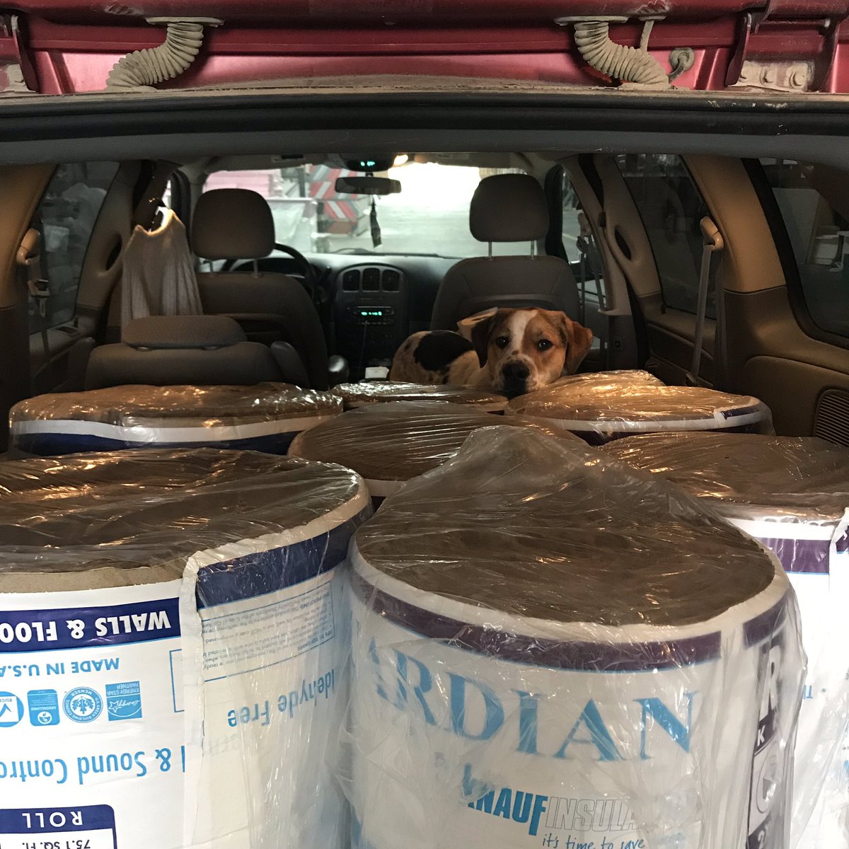 LauraToben's tweet photo. Trucks? Never heard of em...
#MiniVan #StowAndGo #DogMomApproved https://t.co/WI3VheXUr1