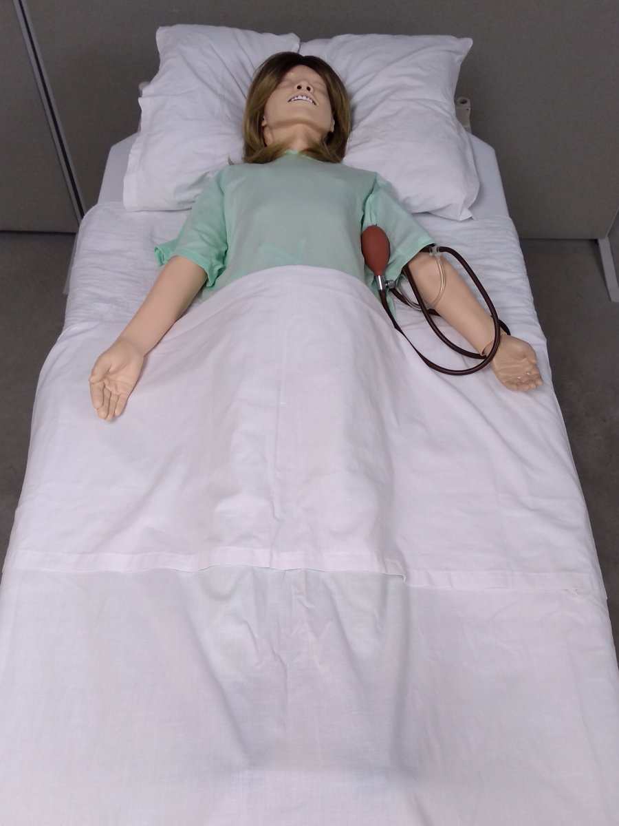 LSSUSuperiorSim's tweet photo. #SimMan3G, #SimMom, #NursingAnne, and #SimJunior eagerly await the students from @LssuNursing and #EMed. Next week starts a new semester, and we have lot's of new #HealthcareSimulations for everyone. Let the #Learning begin, and always remember #PatientSafety. #WeAllBelongHere https://t.co/xaYAtVK5oN