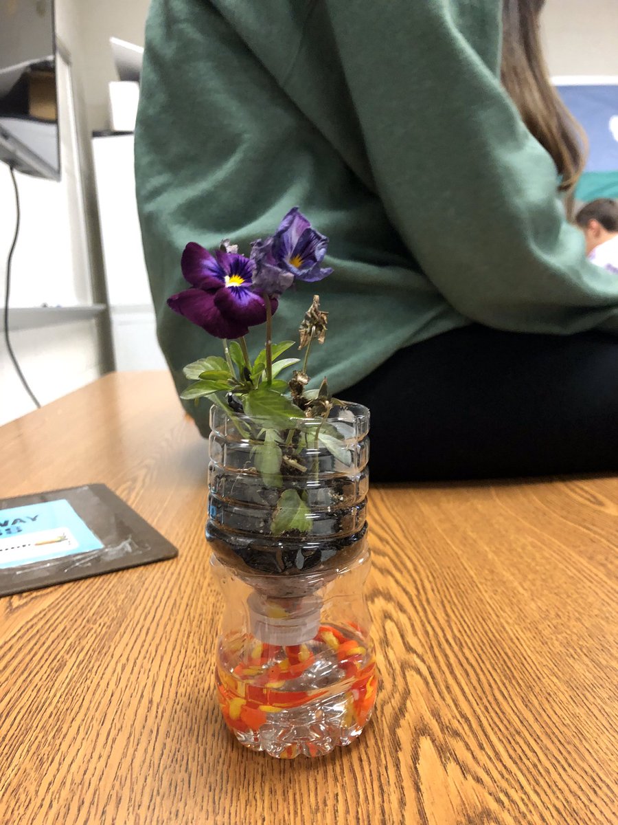 Water bottles aren’t just meant for drinking water!