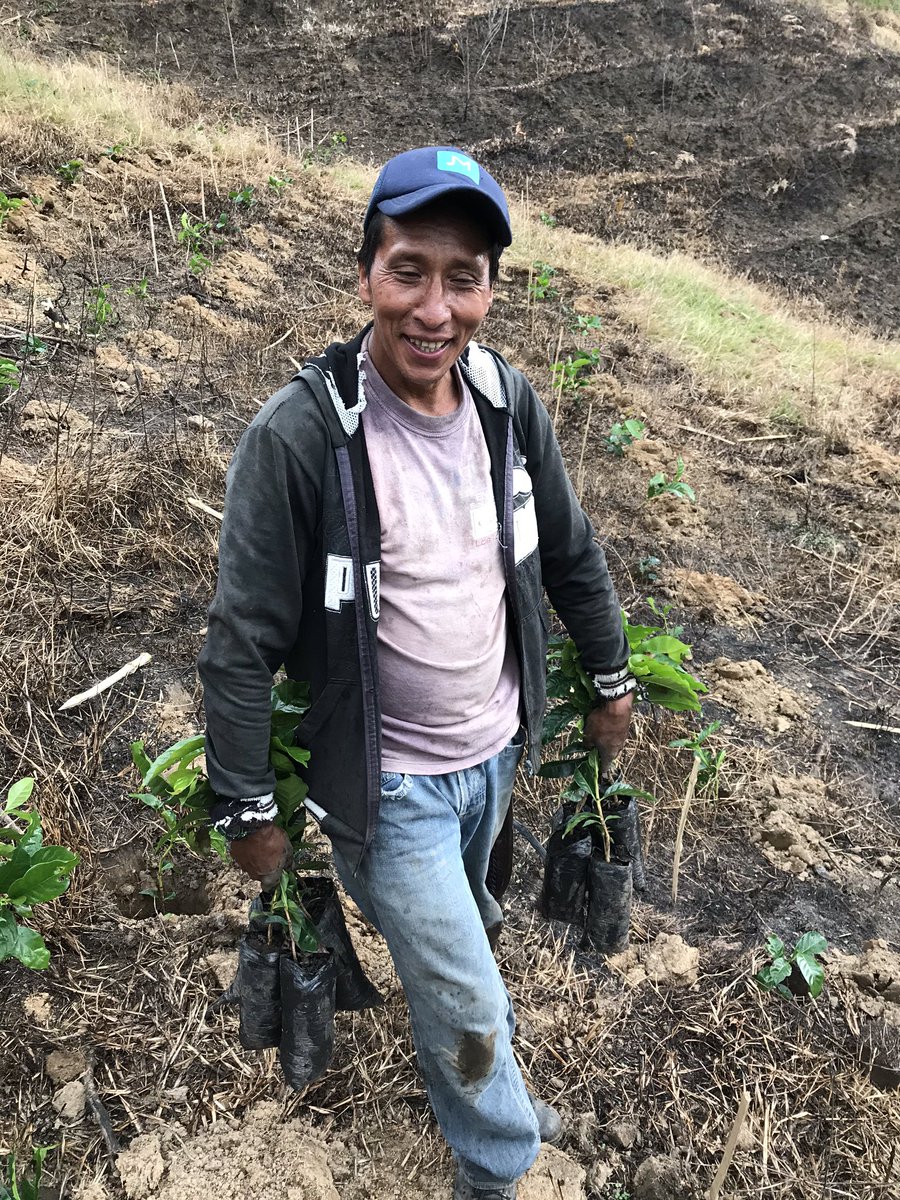 ricardopelaezm's tweet image. Hola vendo café especial de mi finca a solo 18.000 la libra, es súper rico no se van a arrepentir, si no lo compran colaborenme con un RT para darme a conocer.