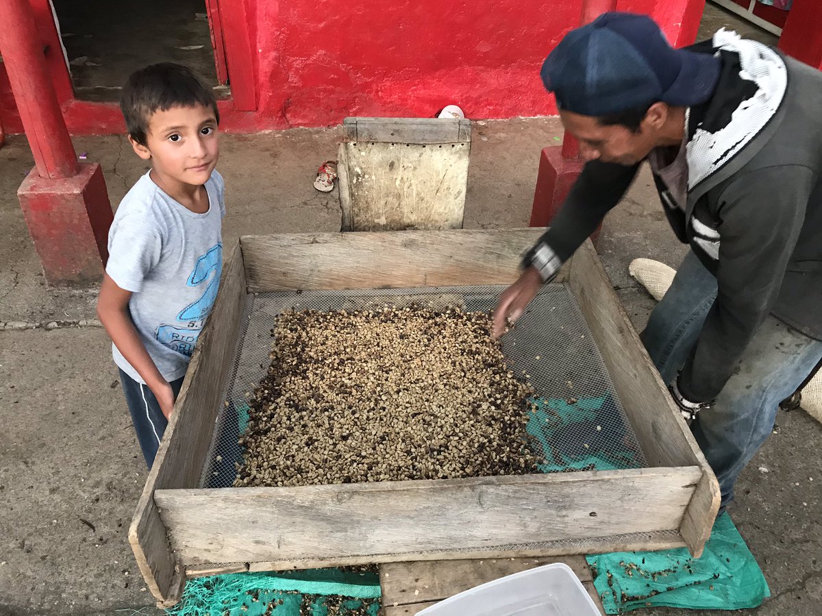 ricardopelaezm's tweet image. Hola vendo café especial de mi finca a solo 18.000 la libra, es súper rico no se van a arrepentir, si no lo compran colaborenme con un RT para darme a conocer.