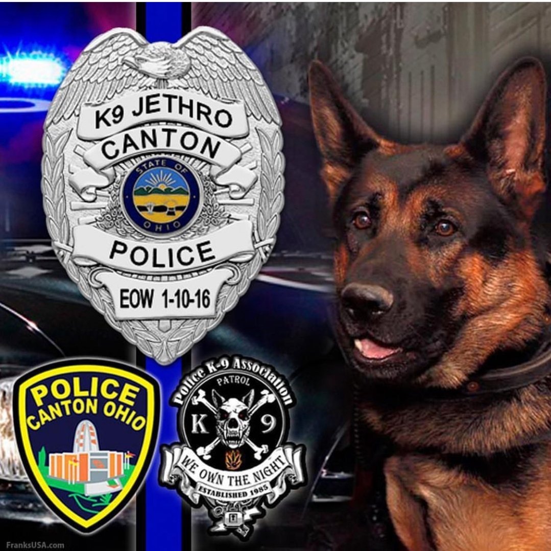 k9sofvalor's tweet photo. Because of K9 Jethro

K9 Jethro
EOW: 1-10-2016
@CantonOhioPD
K9 Jethro may be gone but his legacy continues. K9s of Valor was founded after K9 Jethro was killed. Our mission is to make sure every K9 has the proper equipment&amp; life saving supplies they need &amp; deserve.
#NeverForget https://t.co/N6wH5nsPcc