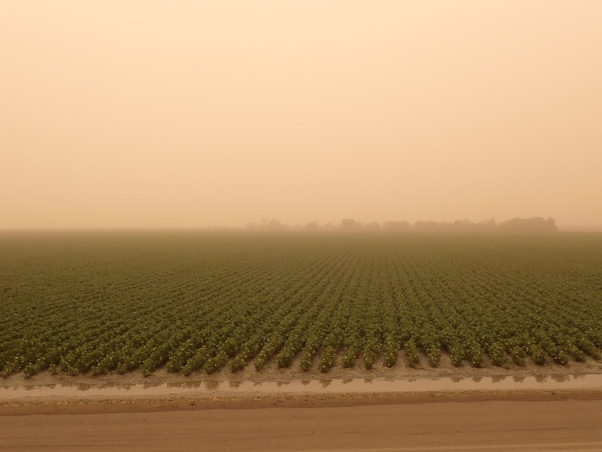 Plenty of raised dust coming through today!😷