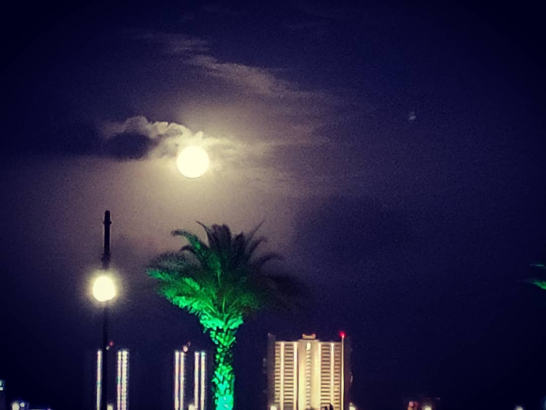RyInSpace's tweet photo. Toy Story 4 in the park with a full Moon rising! Thanks Port Orange and sponsors!!! #ImNotAToy #Forky #ToyStory4 #pixar #Disney @Disney https://t.co/9tevoDrzrV