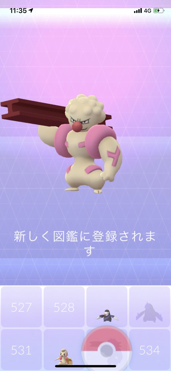 Happyqueen ドテッコツからローブシンへの進化 あめが0必要なんだ ポケモンgo ドッコラー ドテッコツ ローブシン T Co 7tghoqv2yy Twitter