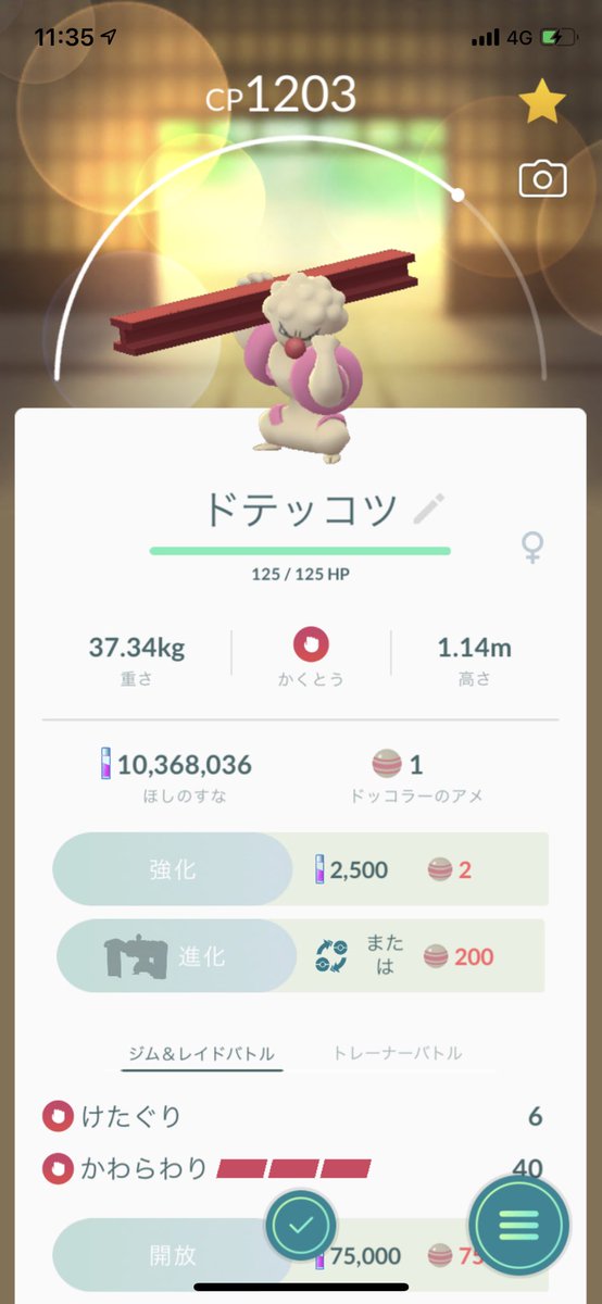 Happyqueen ドテッコツからローブシンへの進化 あめが0必要なんだ ポケモンgo ドッコラー ドテッコツ ローブシン T Co 7tghoqv2yy Twitter