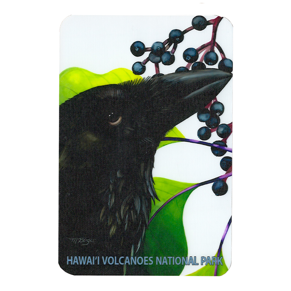 HIPacParks's tweet photo. Keep an eye open for these repositional stick-ons coming soooooon to our online shop!
#stickers #stickons #hawaiistickers #hawaiistickons #hawaiiparks #nationalparks #comingsoon #alalฤ #apapane #nฤnฤ #Kฤซlauea #onlineshopping #shopyourparks https://t.co/694mpeW5vV