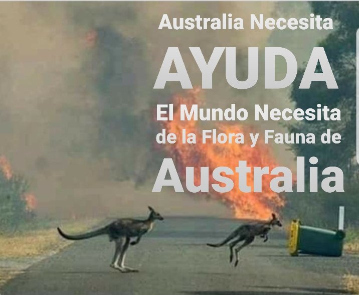 alfonsobg's tweet image. ¿me ayudan con un RT.? Saludos #australianeedshelp #Mexico #CDMX