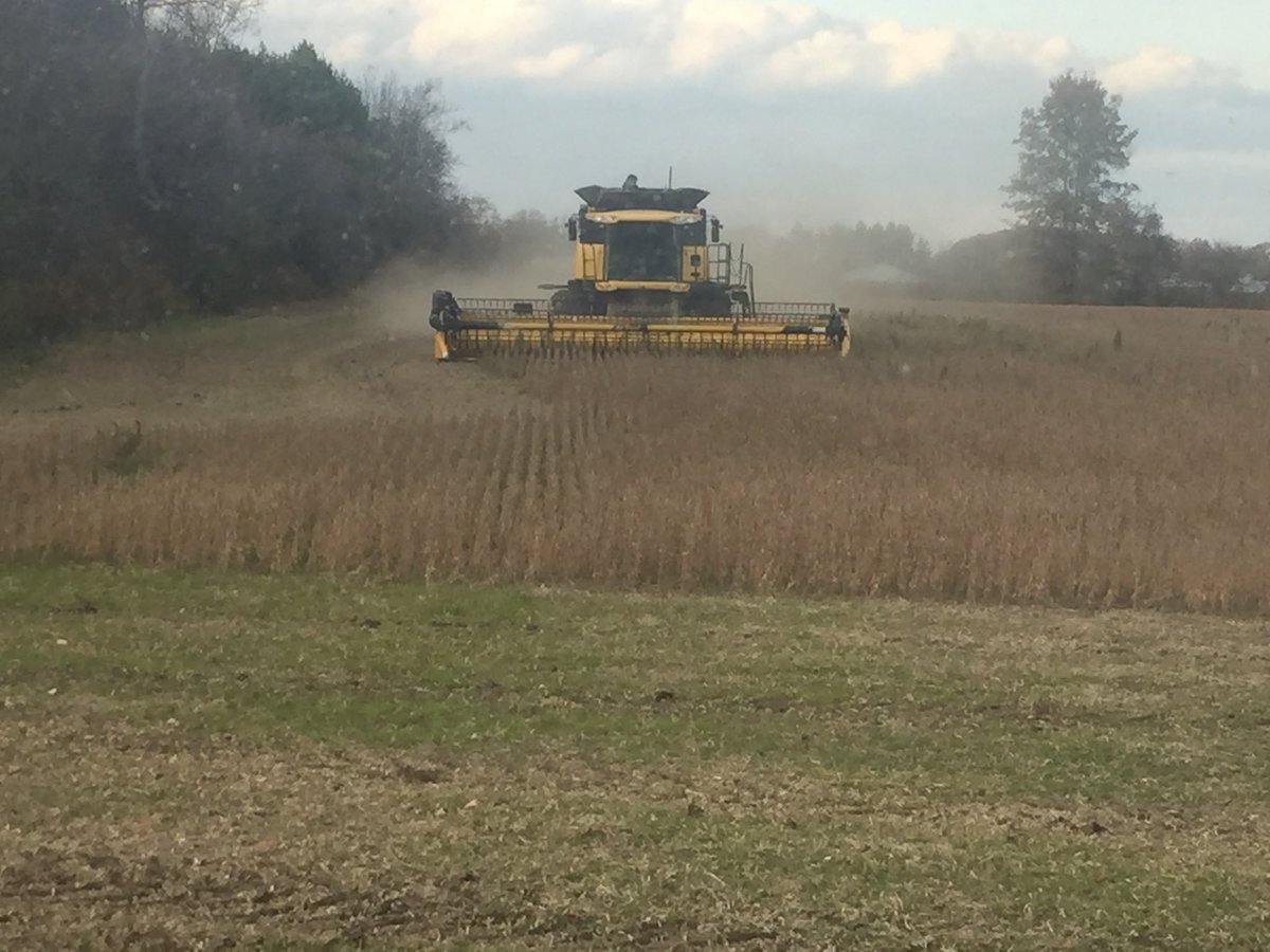 A Flat Land Farmer tweet media