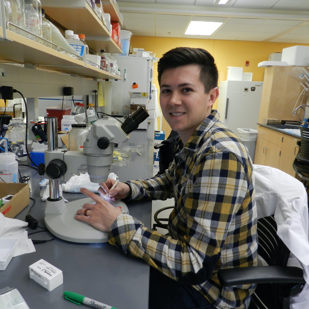 Matt_D_Ramirez's tweet photo. Hey #LGBTQScience! I'm Matt and I'm ending my first week as an @NSF_BIO Postdoc at @URIGSO. I will be studying the historic response of marine mammals and sea turtles to #climate- and #fisheries-induced #ecosystemchange using #stableisotopes #CSIA. Still getting used to👇 https://t.co/xVUGVB38w9