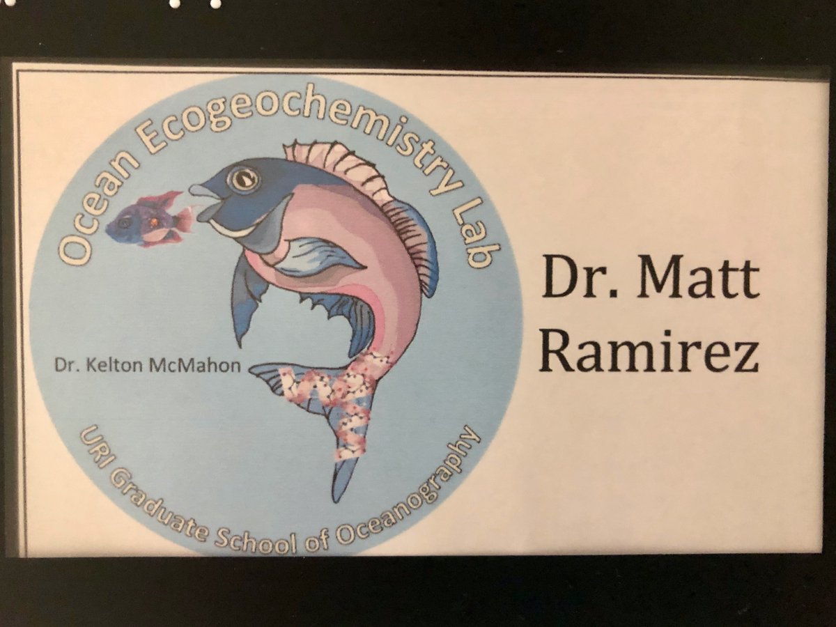 Matt_D_Ramirez's tweet photo. Hey #LGBTQScience! I'm Matt and I'm ending my first week as an @NSF_BIO Postdoc at @URIGSO. I will be studying the historic response of marine mammals and sea turtles to #climate- and #fisheries-induced #ecosystemchange using #stableisotopes #CSIA. Still getting used to👇 https://t.co/xVUGVB38w9