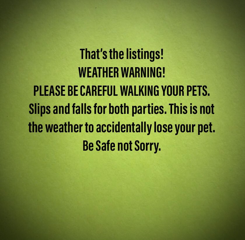 PetfindToronto's tweet image. #BeSafeNOTSorry