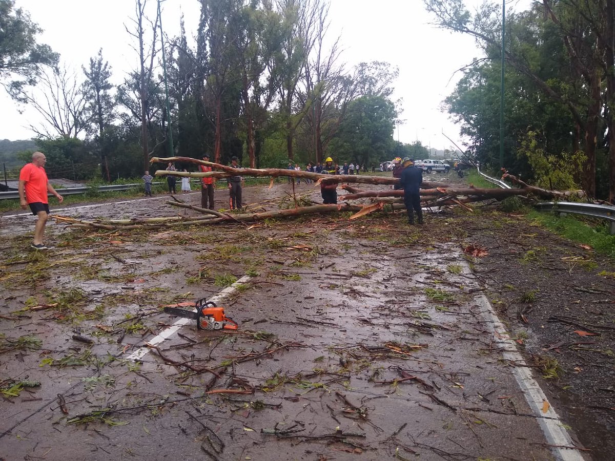 Seguridad asiste a los damnificados por el temporal en Metán.

La Subsecretaría de Defensa Civil junto al Municipio coordina el trabajo logístico que se realiza en la zona tras una intensa lluvia. Se registraron personas autoevacuadas, postes y árboles caídos.

El Ministerio ➡