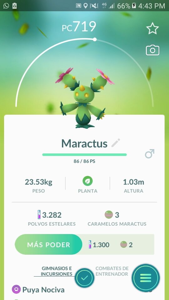 ポケモンgo ナゲキとマラカッチ シンボラーなどが日本で入手不可能な地域限定に