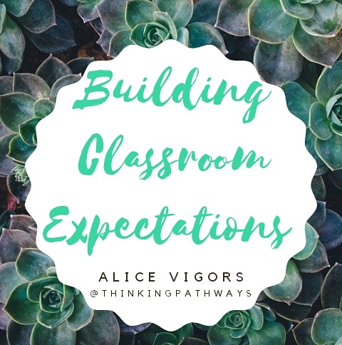 alice_vigors's tweet photo. Building Classroom Expectations ☀️
Why co-constructing classroom expectations is so important in today's classroom. Check out the process I use here: https://t.co/FIrZOhBwiD
#thinkingpathways #classroomculture #aussieed #aussieteachertribe #pstchat #teachnsw https://t.co/3jkdGoTFcf
