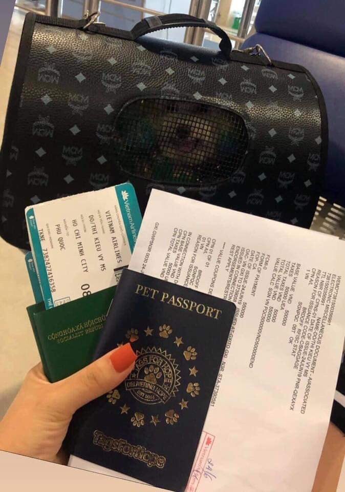 rhochicristaldo's tweet photo. Otras personas: tenes que viajar con el amor de tu vida

Yo: no se diga más https://t.co/zVnAdyhwlS