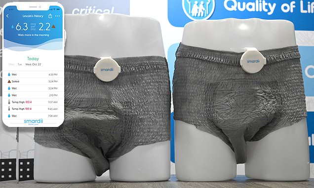 New 'smart diaper' for adults shown at CES will monitor body temperature, stool, and urine: A company in Miami called Smardii is developing a new smart diaper that will monitor for the presence of urine and stool to help keep both senior citizens and… dlvr.it/RMq7XD