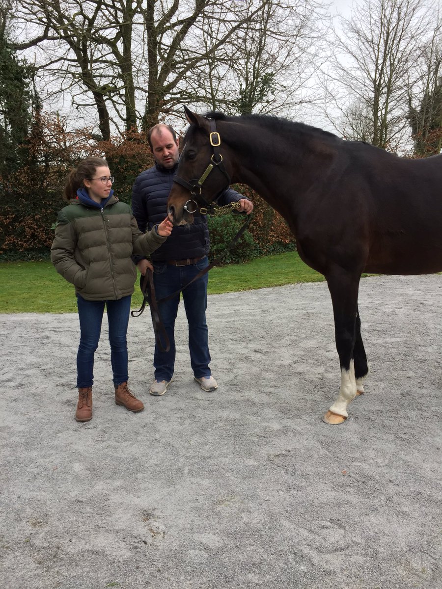 Great to see some of the NH heroes in top nick today at Castlehyde and Grange Studs 👌🏼 #IrishStallionTrail #MeetYourHeroes